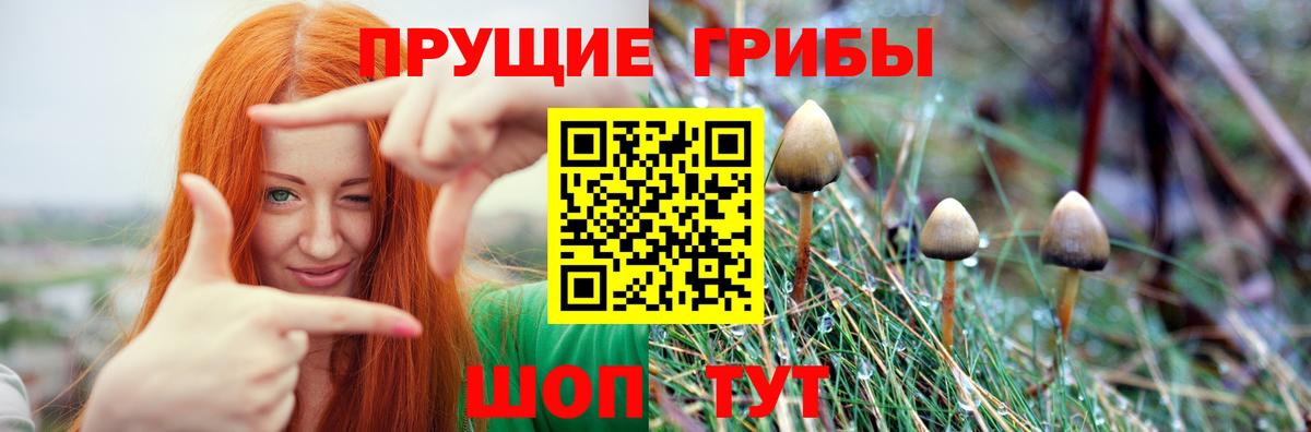 Челябинск  Галлюциногенные грибы прущие грибы  Вход с VPN  Псилоцибиновые грибы мухоморы 